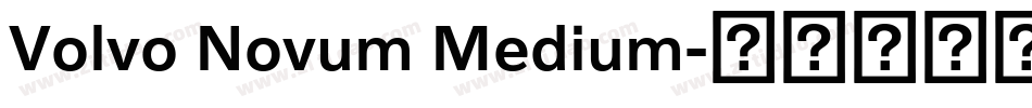 Volvo Novum Medium字体转换